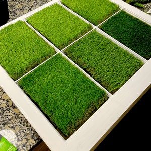 Spring Themed Window